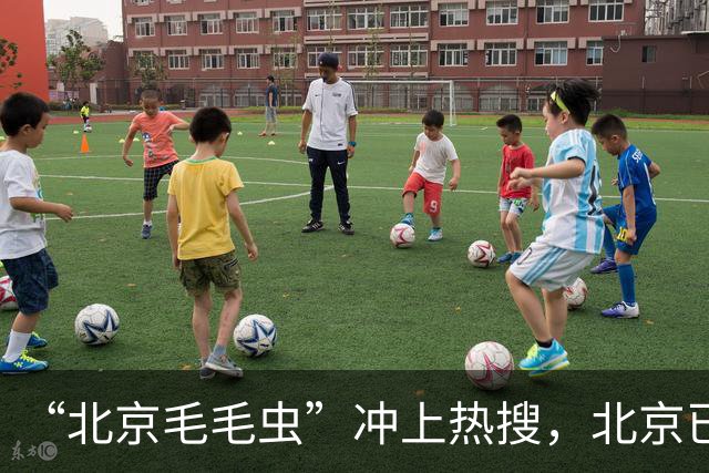 “北京毛毛虫”冲上热搜，北京已释放7亿只小蜂治理白蛾，白蛾治理有多难？“以虫治虫”是什么原理？