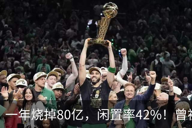 一年烧掉80亿，闲置率42%！曾被捧成香饽饽的生意，怎么不香了？