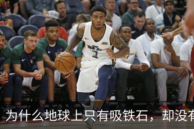 为什么地球上只有吸铁石，却没有吸铜石和吸铝石？