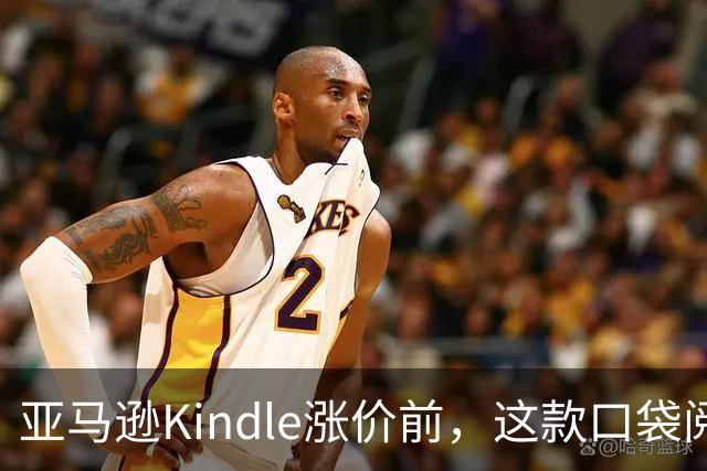亚马逊Kindle涨价前，这款口袋阅读器降到78.99美元