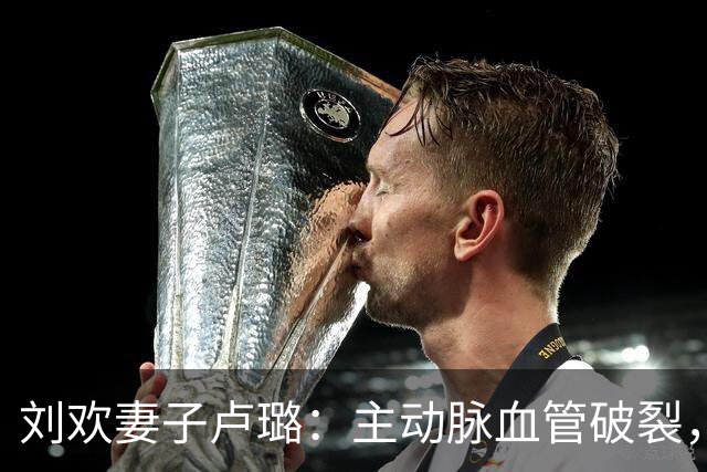 刘欢妻子卢璐：主动脉血管破裂，命悬一线，刘欢的选择让人泪目