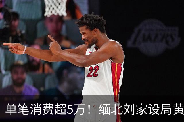单笔消费超5万！缅北刘家设局黄赌毒“收割”金主