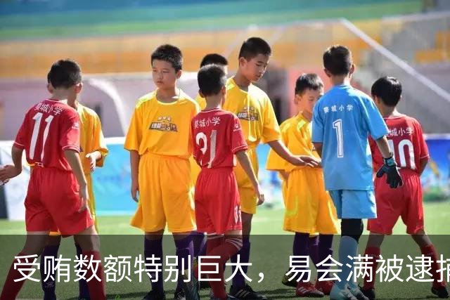 受贿数额特别巨大，易会满被逮捕、提起公诉