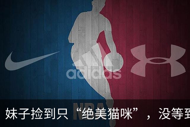 妹子捡到只“绝美猫咪”，没等到主人结果警察叔叔找上门？网友：这要搁咱村，准得笑话死哈哈哈！