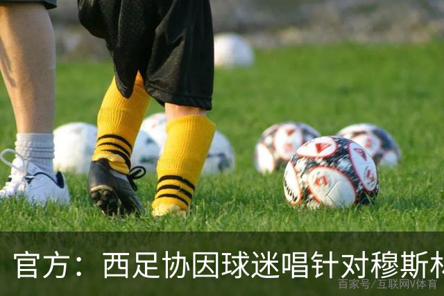 官方：西足协因球迷唱针对穆斯林的歧视性口号被罚款2万美元