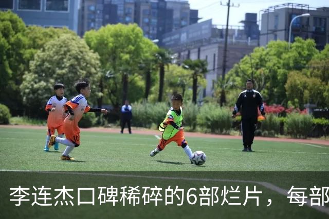 李连杰口碑稀碎的6部烂片，每部都是在自砸招牌