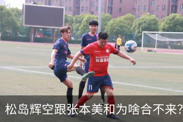松岛辉空跟张本美和为啥合不来？