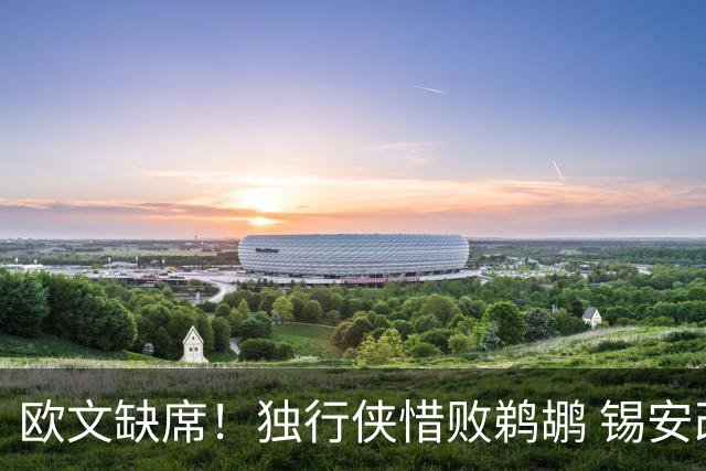 欧文缺席！独行侠惜败鹈鹕 锡安改打替补10分奎因9中1