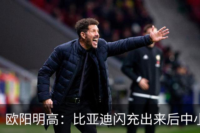 欧阳明高：比亚迪闪充出来后中小厂家、电池厂很焦虑 因为闪充投资太大