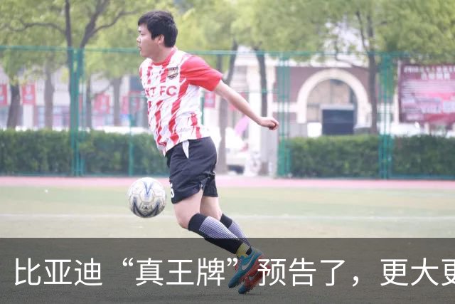 比亚迪“真王牌”预告了，更大更强或7万级！
