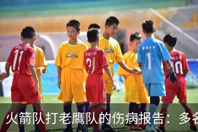 火箭队打老鹰队的伤病报告：多名球员出战成疑