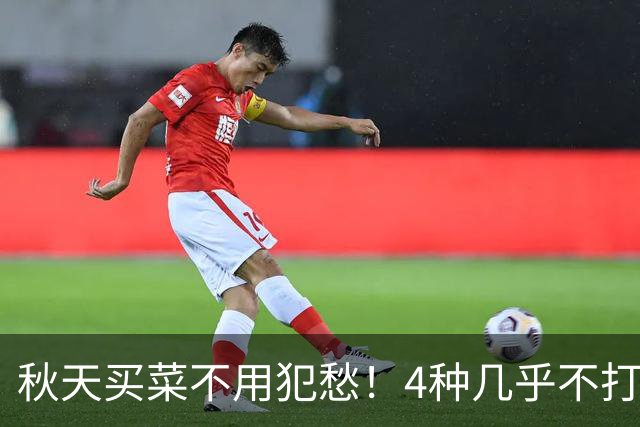 秋天买菜不用犯愁！4种几乎不打农药的时令菜，好吃又养人