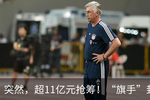 突然，超11亿元抢筹！“旗手”封死涨停，发生了什么？