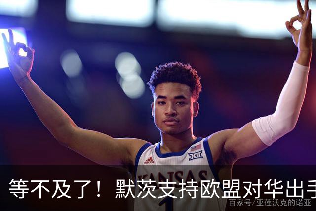 等不及了！默茨支持欧盟对华出手，德法10月动手，480架空客白买