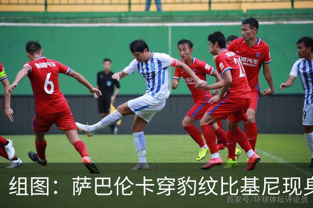 组图：萨巴伦卡穿豹纹比基尼现身海边 展示曼妙曲线