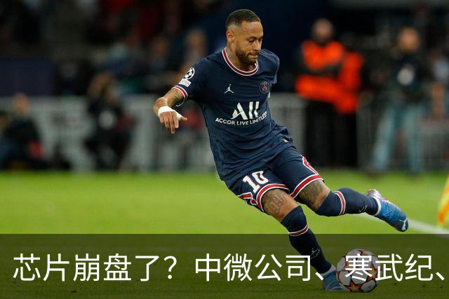 芯片崩盘了？中微公司、寒武纪、中芯国际全线飘绿，哪些因素在制约科技行情？