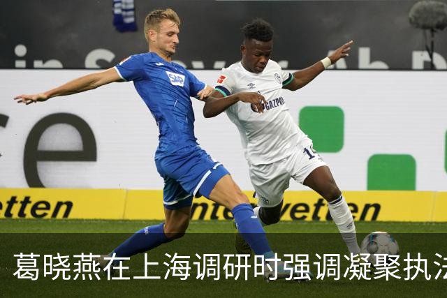 葛晓燕在上海调研时强调凝聚执法司法合力 携手推动金融高质量发展