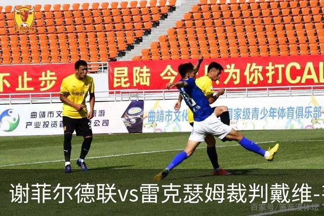 谢菲尔德联vs雷克瑟姆裁判戴维-韦伯数据：近20场0红54黄3点