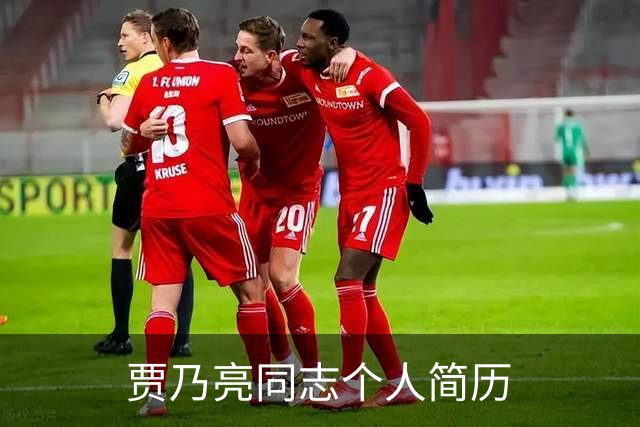 贾乃亮同志个人简历