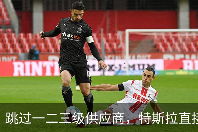 跳过一二三级供应商，特斯拉直接杀到第四级砍价