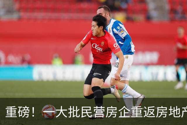 重磅！一大批民营房企重返房地产
