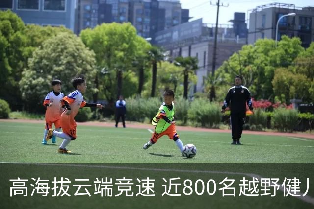 高海拔云端竞速 近800名越野健儿登顶“滇中第一山”