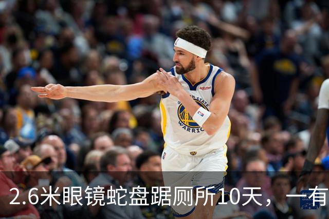 2.6米眼镜蛇盘踞厕所10天，一有动静就钻回下水道，男子无奈装监控，只要蛇出现就会自动推送提醒，蹲守6天终于抓到了